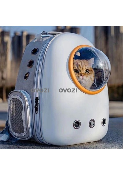Pet Kediler ve Küçük Köpekler Için Dış Mekan Nefes Alabilir Omuz Çantası (Yurt Dışından)