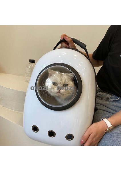 Pet Nefes Alabilen Omuz Çantası Hareket Halindeki Kediler ve Küçük Köpekler Için (Yurt Dışından) fiyatları