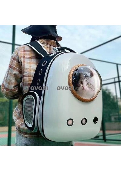 Pet Kediler ve Küçük Köpekler Için Dış Mekan Nefes Alabilir Omuz Çantası (Yurt Dışından)