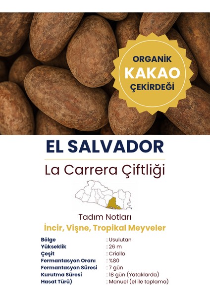 1000GR El Salvador Organik Kavrulmuş Criollo Kakao Çekirdeği