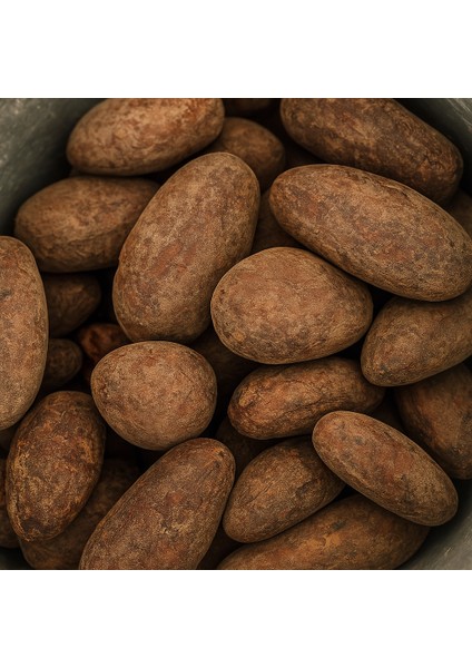 250GR El Salvador Organik Kavrulmuş Criollo Kakao Çekirdeği