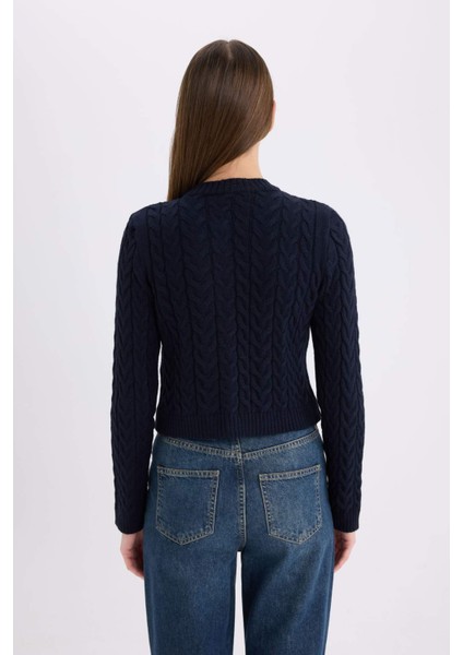 Regular Fit Bisiklet Yaka Selanik Örgü Desenli Triko Hırka C9044AX25SP