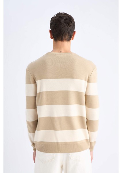 Standart Fit Bisiklet Yaka Triko Kazak D1968AX24AU