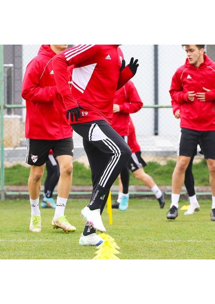 AC10S 10 lu Küçük Boy Antrenman Çanağı Seti Sarı