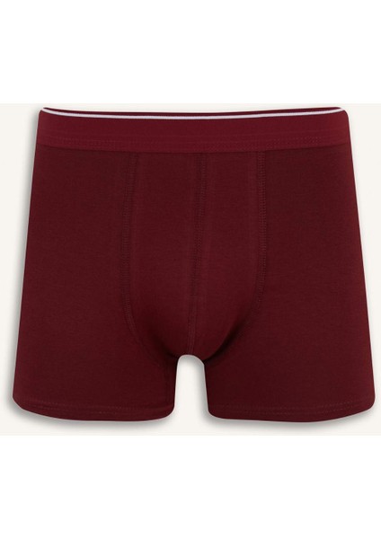 Regular Fit 5'li Boxer E7205AX25SM