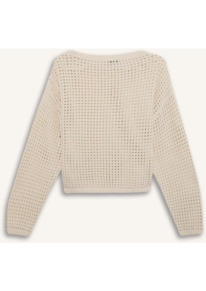 Regular Fit Bisiklet Yaka Kroşe Triko Kazak T4513AZ25SP