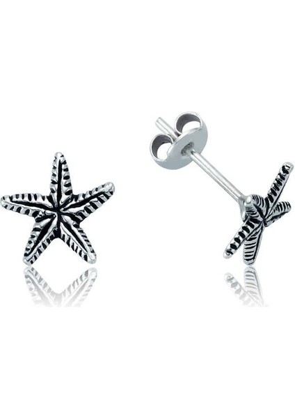 Gümüş Deniz Yıldızı Çivili Küpe fiyatları