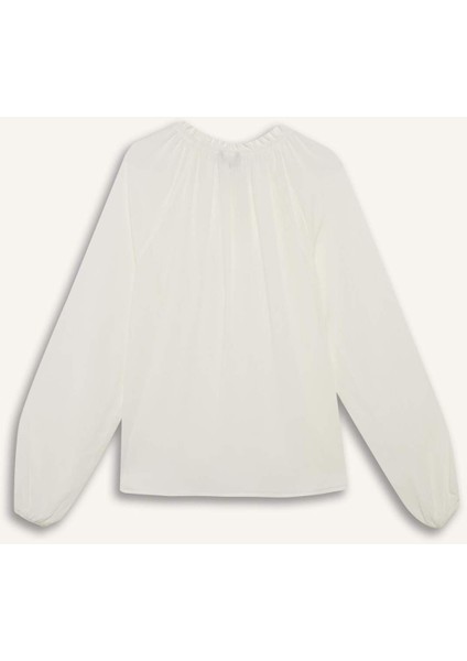 Regular Fit Bisiklet Yaka Krinkıl Kumaş Uzun Kollu Bluz E9429AX25SM