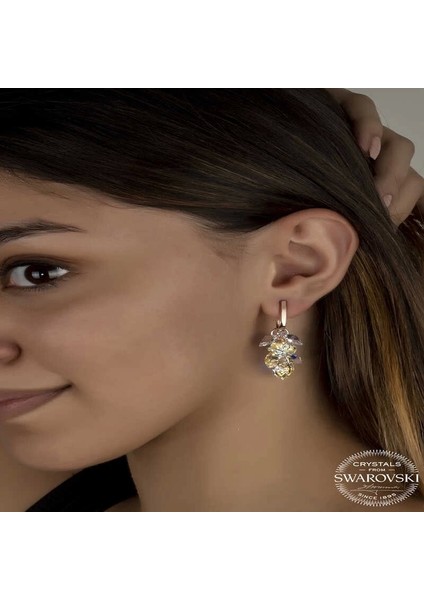 Swarovski Crystal Taşlı Gümüş Kalp Salkım Sallantılı Çivili Kadın Küpe fiyatları