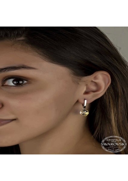 Swarovski Crystal Taşlı Gümüş Beyaz Kalp Sallantılı Kadın Küpe fiyatları