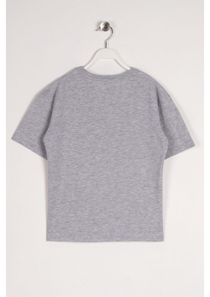 Erkek Çocuk Gri Melanj Renkli Timeless Baskılı Tişört fiyatları