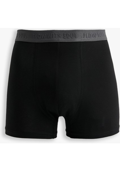 Regular Fit Basic Pamuklu 3'lü Boxer Seti fiyatları