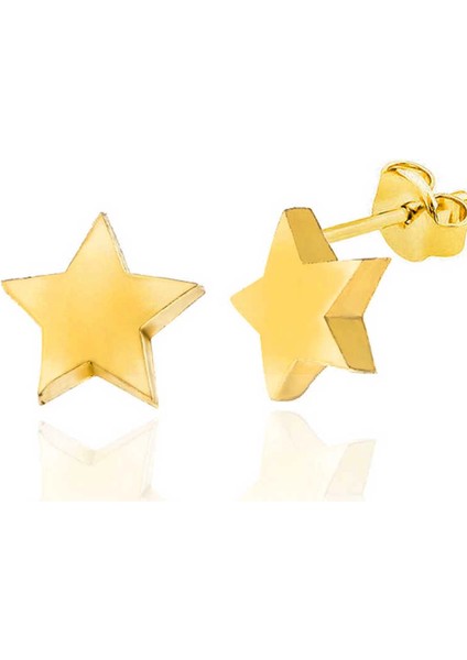 Gümüş Gold Yıldız Çivili Kadın Küpe