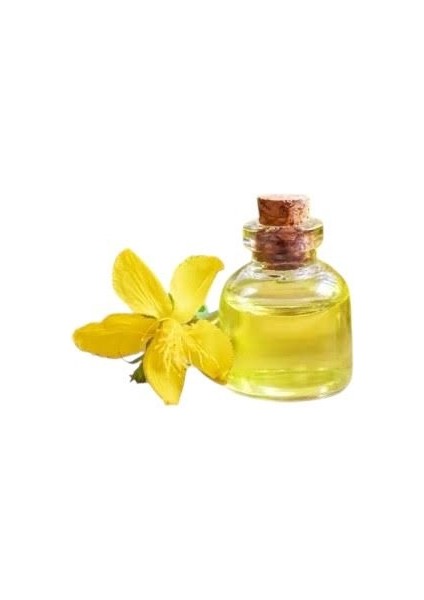 Meyan Kökü Yağı 10 ml