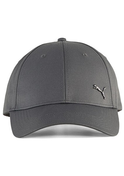 Ess Metal Cat Bb Cap Şapka 02599409 Gri