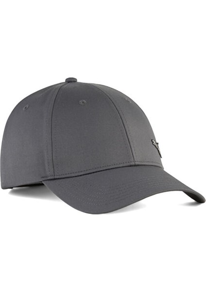 Ess Metal Cat Bb Cap Şapka 02599409 Gri fırsatları