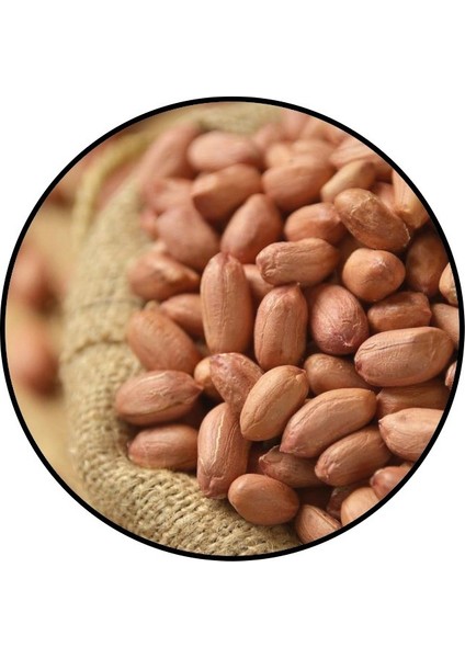 AG GIDA YER FISTIĞI 500 GR