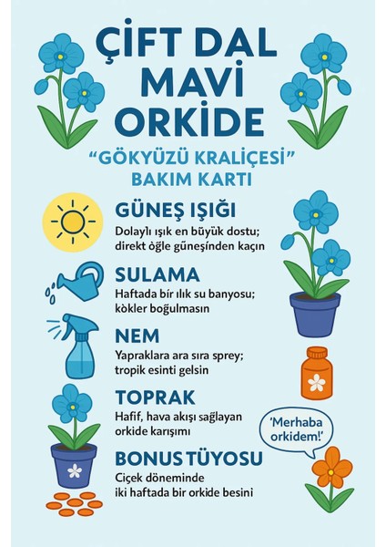 Çift Dal Mavi Orkide – Özel Günler İçin Göz Alıcı, Eşsiz Zarafet indirimleri