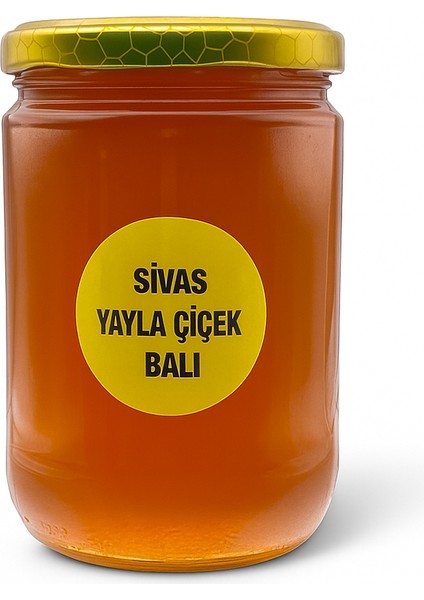 Sivas Yayla Çiçek Balı 850 gr