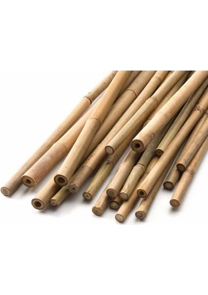 Çok Avantajlı Bambu Bitki Destek Çubuğu 60 cm 10'lu Set