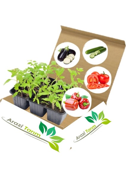 Sebze Fidesi Hobi Seti 50 Adet