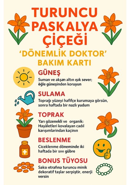 Turuncu Paskalya Çiçeği