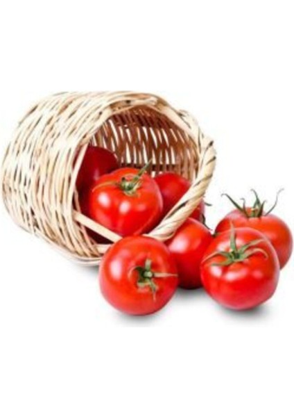 Meşhur Falkon Domates Tohumu 10 Adet Ekim Seti fiyatları