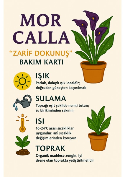 Ithal Hediyelik Mor Gala Çiçeği indirimleri