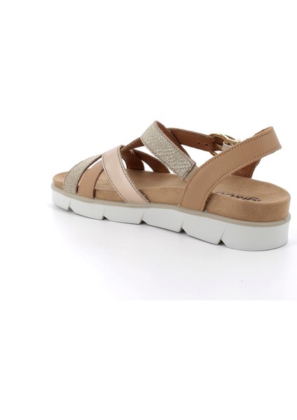 Kadın Sandalet 7668822 Igı&co Ddz 76688 Nap.so/nab.mamb Biscotto/champa modelleri