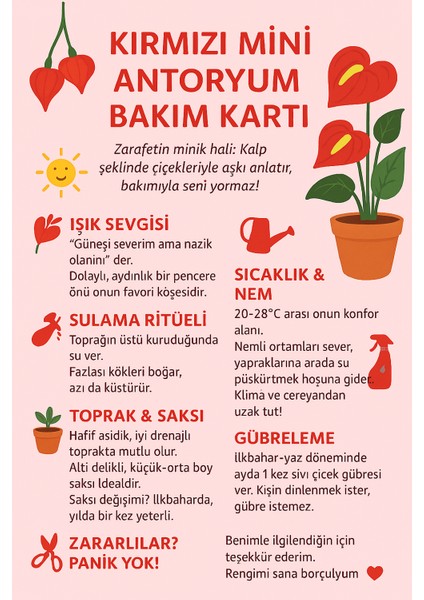 Canlı Kırmızı Mini Antoryum Flamingo – Hava Temizleyici, Modern ve Çarpıcı Dekor modelleri