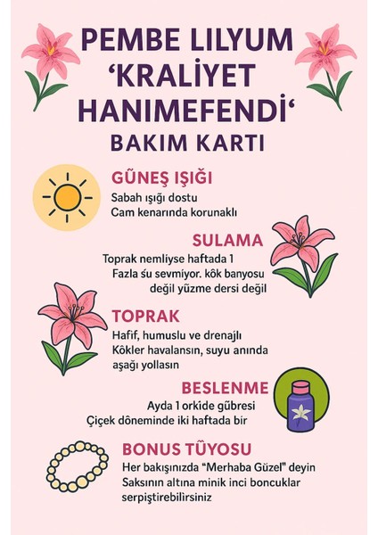Ithal Pembe Lilyum Çiçeği Saksıda indirimleri