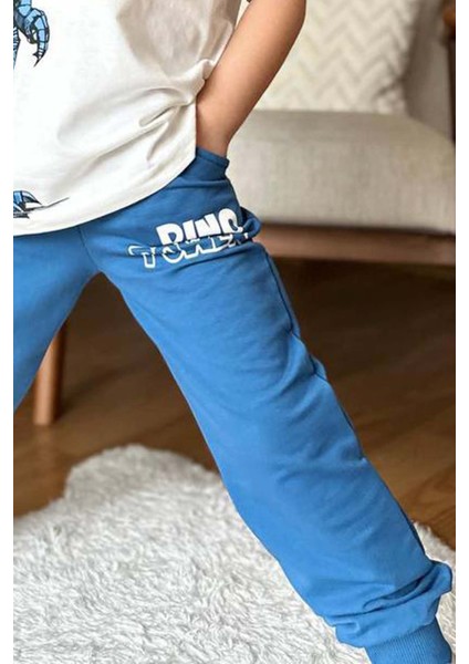 Erkek Çocuk Dinazor Digital Baskı ve Yazı Detaylı T-Shirt Mavi Eşofman Takım indirimleri