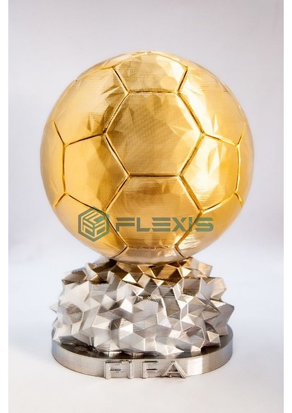Flexıs We Make It Possıble For You Isminize Özel Fıfa Ballon D'or Maketi 15 cm Hediyelik Gold Kaplama