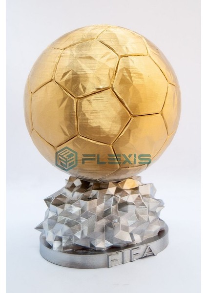Flexıs We Make It Possıble For You Isminize Özel Fıfa Ballon D'or Maketi 15 cm Hediyelik Gold Kaplama
