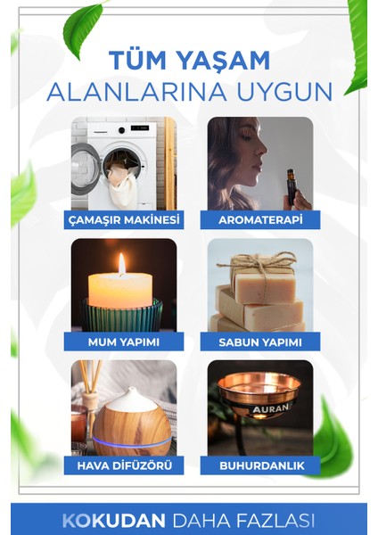 Çakra Açıcı Esansiyel Uçucu Koku Yağı Difüzör Esansı Buhurdanlık Yağı Aromaterapi Yağı 10ml indirimleri