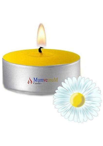 20 Li Papatya Kokulu Tealight Mum