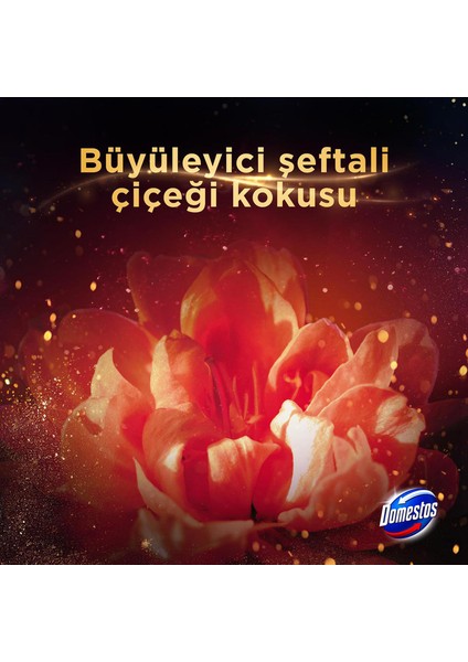 Aroma Lux Tuvalet Bloğu Şeftali Çiçeği 100G X2