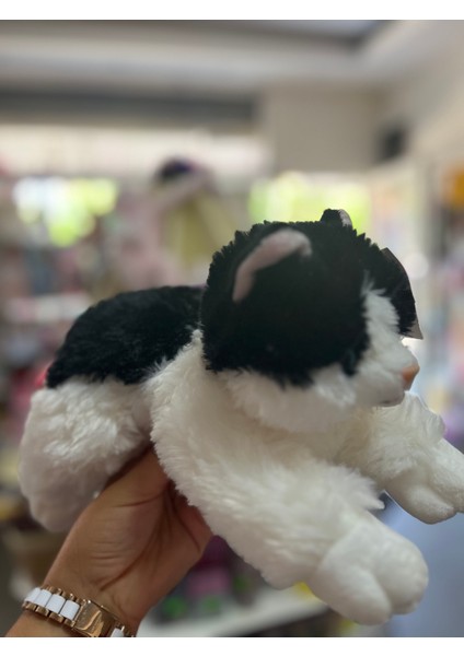 Sesli Peluş Kedi