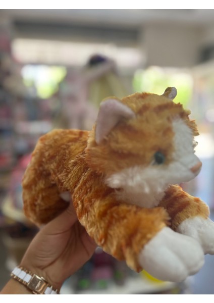 Sesli Peluş Kedi modelleri
