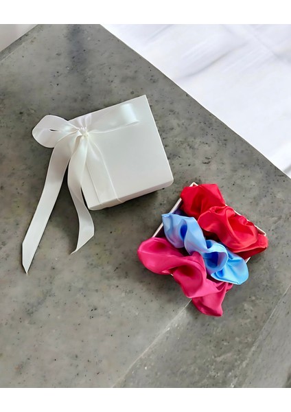 Özel Kutuda Color Burst Saten Scrunchie 3’lü Set