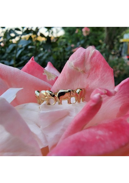 Gümüş Yüzük - Fil Bereket 925 Ayar Gümüş Yüzük-925 Ayar Taşsız Hediye Gümüş Yüzük fırsatları