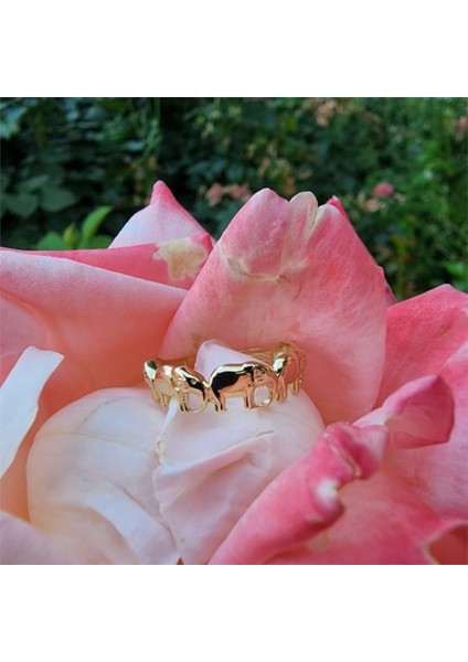 Gümüş Yüzük - Fil Bereket 925 Ayar Gümüş Yüzük-925 Ayar Taşsız Hediye Gümüş Yüzük