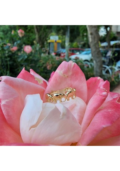 Gümüş Yüzük - Fil Bereket 925 Ayar Gümüş Yüzük-925 Ayar Taşsız Hediye Gümüş Yüzük