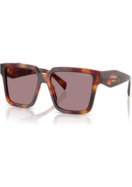 0pr 24ZS 22A20I 56 Kadın Güneş Gözlüğü