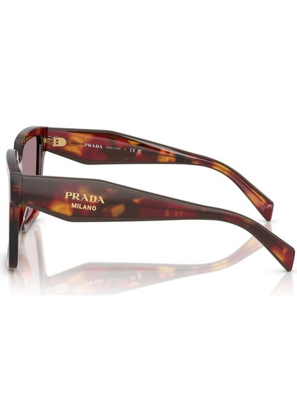 0pr 24ZS 22A20I 56 Kadın Güneş Gözlüğü fırsatları