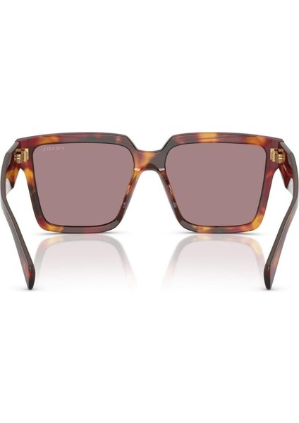 0pr 24ZS 22A20I 56 Kadın Güneş Gözlüğü indirimleri