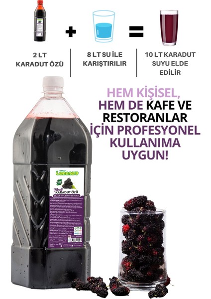 Karadut Özü 2 Lt (2700G) Taneli, %100 Doğal Katkısız Şeker Ilavesiz modelleri