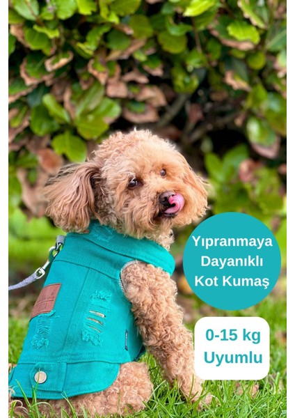 Yeni - Çam Yeşili Renk Kot Köpek Yeleği - Küçük Irklar Için Şık ve Rahat Yelek (0-15KG)