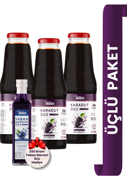 3 Adet Karadut Özü 1400 gr + Yaban Mersin Özü 350 gr