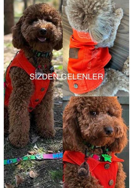 Yeni - Orange Renk Kot Köpek Yeleği - Küçük Irklar Için Şık ve Rahat Yelek (0-15KG)
